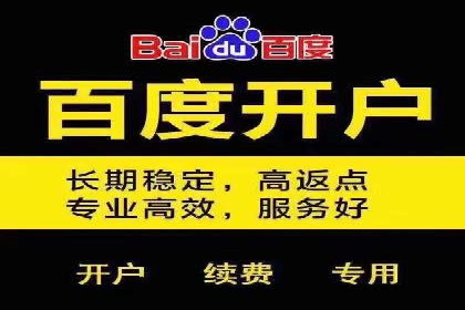 成功运用SEM服务实现品牌推广的案例分析